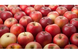 be full ofのイラスト